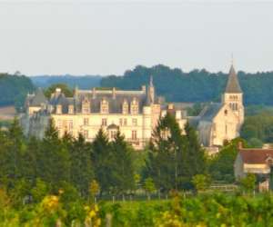 photo Le  petit   colombier - chambre d'htes Chateauvieux 4890