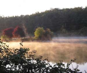 photo Ch�teau de taill� - fondettes Fondettes 5190