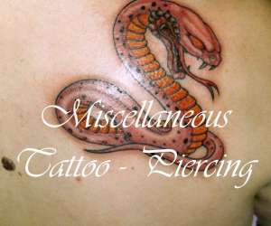Miscellaneous Tattoo Piercing