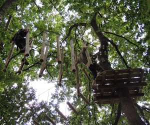 photo Parcours aventure accro'climb Saran 5534