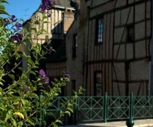 photo Office de tourisme sologne, ct sud Romorantin Lanthenay 6411