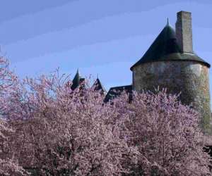 photo Office de tourisme sologne, ct sud Romorantin Lanthenay 6413