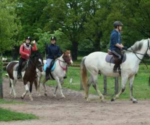 photo Centre equestre - rio javar, Farges Allichamps 5709