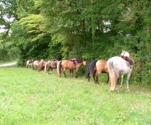 photo Centre equestre - rio javar, Farges Allichamps 5710