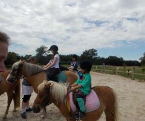 photo Centre equestre - rio javar, Farges Allichamps 5712