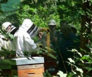 photo Rendez-vous aux jardins,  l'herboretum St Ay 6238