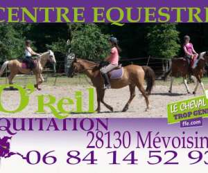 Oreil Equitation -  Ghalia Spectacle