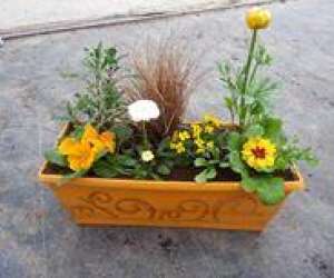 photo  lefebvre horticulture  -  artisan du vgtal  Fontenay Sur Conie 6351