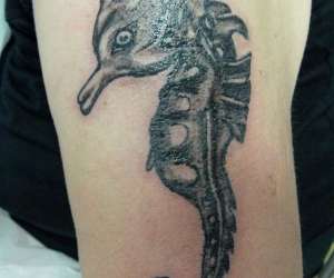 Katattoo28