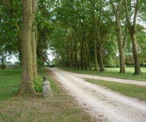 photo Le chteau des enigmes - val de loire Freteval 6543