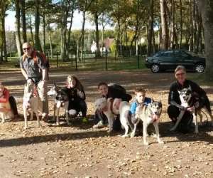 Escapade Nordique - Cani-randonnée, Baptêmes Chiens De Traineau Escapade Nordique - Cani-randonnée, Baptêmes Chiens De Traineau