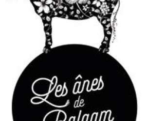 Les Anes De Balaam