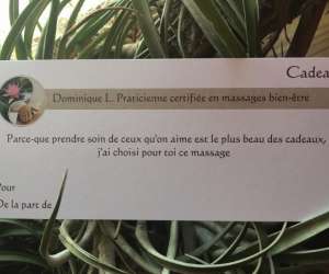 photo Dominique l. massages bien-tre et rflexologie plantaire Olivet 6749