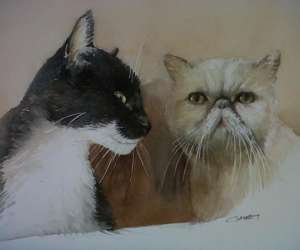 photo  cours d'aquarelle -  gauby artiste-peintre Tours 6802