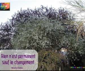 photo Cralma coaching-harmonie Louans 6875