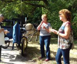 photo Cool attelage Selles Sur Cher 7083