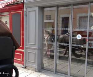 photo Cool attelage Selles Sur Cher 7086
