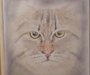 photo Lydia martin - cours dessin et aquarelle Soings En Sologne 7157
