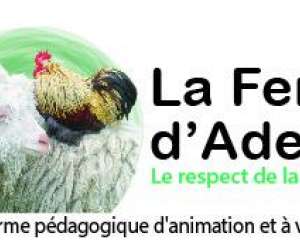 Ferme Pedagogique D