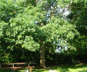 Ferme De La Borde Chambres Et Table D