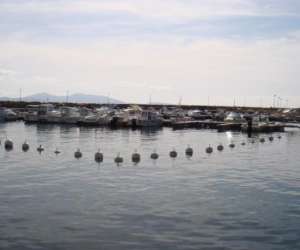 photo U rasaghiu Cargese 3458