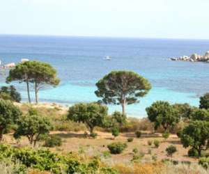 Résidence les lièges de palombaggia Résidence les lièges de palombaggia
