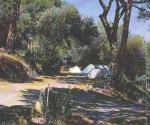 Camping Barbicaja