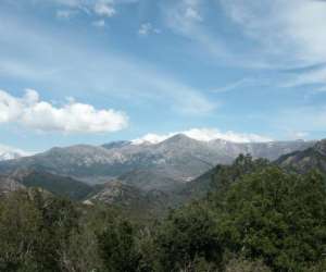 photo Col de cricheto (sarl) Bastelica 3301