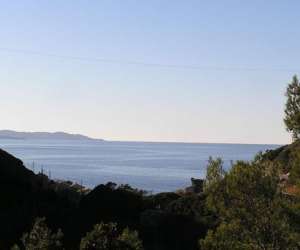 Les Gites Du Cap Corse