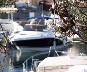photo Ctf balagne location bateau Lumio 2605