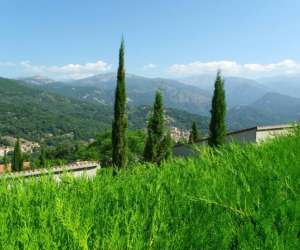 photo Les balcons de la chiusa, rsidence de tourisme ** Vico 2798