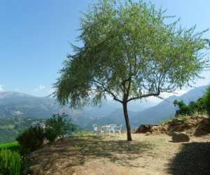 photo Les balcons de la chiusa, rsidence de tourisme ** Vico 2801