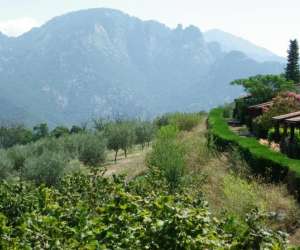 photo Les balcons de la chiusa, rsidence de tourisme ** Vico 2805