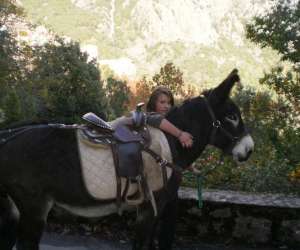 photo Centre questre randonne location anes et chevaux Soccia 3322