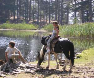 Centre Equestre Location D Ane Et Poney