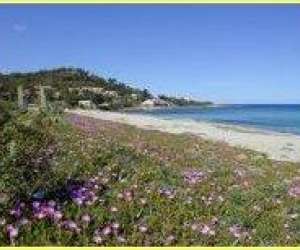 photo Residence monte marina Ste Lucie De Porto Vecchi 2949