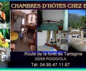 Corsica  Miel   -  Chambres Chez Elma