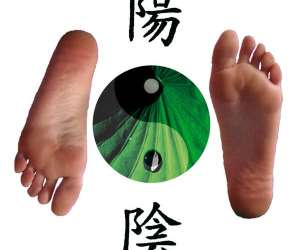 Rflexologie Plantaire - Shiatsu - Feng Shui