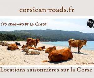 photo Corsican-roads.fr Ajaccio 3429