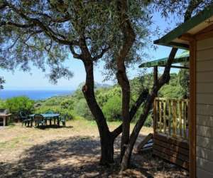 photo Camping vigna maggiore Olmeto 3480