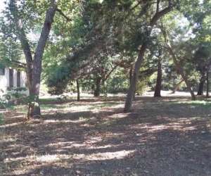 photo Camping europa-beach Sorbo Ocagnano 3826