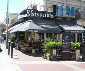 photo Boulevard des fleurs Le Havre 5279