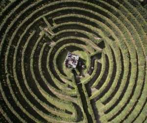 photo Artmazia labyrinthe vgtal  Massy 2748