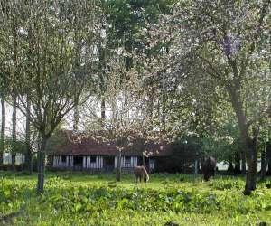 photo Gtes de la ferme dufresne Bernieres 2470