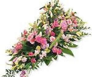 photo Nicky fleurs Harfleur 2567