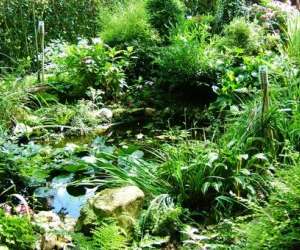 photo Relais du roy St Nicolas De Bliquetuit 2611