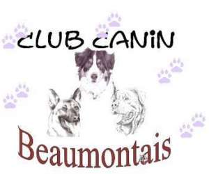 photo Club d'education canine et d'agility beaumontais   Grandchain 5816