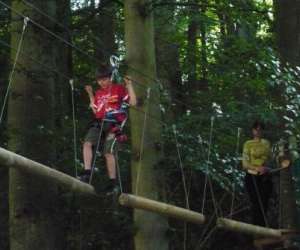 photo Arb'aventure Denestanville 2704