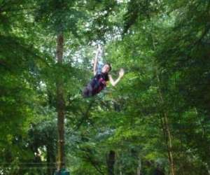 photo Arb'aventure Denestanville 2705
