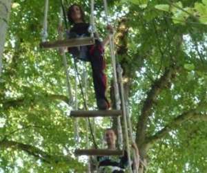 photo Arb'aventure Denestanville 2707